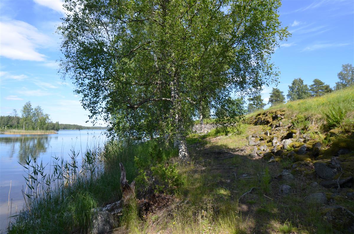 Näkymä Kärnäkosken linnoituksen länsirannalta koilliseen, kohti raveliinia.&nbsp;(Päivi Makkonen&nbsp;2025)