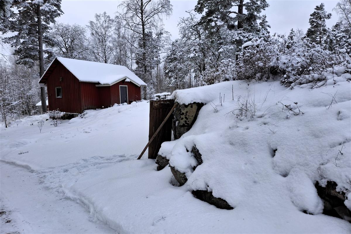 Näkymä Ruhtinaan majan pihapiirin pientä mökkiä kohti koillisesta päin kuvattuna. Etualalla maakellarin ovi.&nbsp;(Esa Hertell&nbsp;10.2.2026)