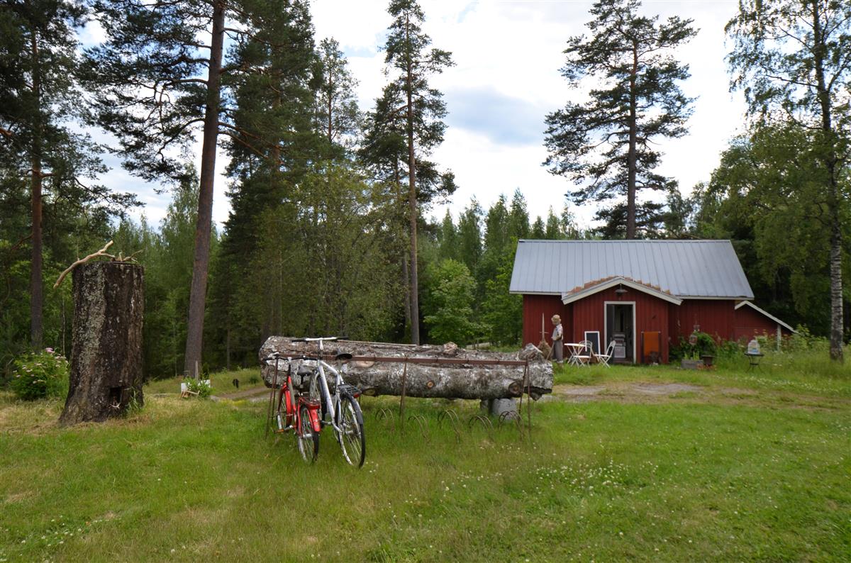 Näkymä Ruhtinaan majan pihamökkiä ja tulotietä kohti koillisesta päin kuvattuna.&nbsp;(Päivi Makkonen&nbsp;2025)