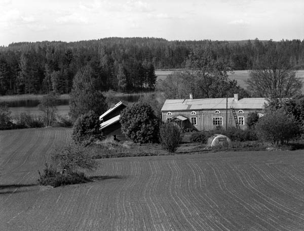 &nbsp;(Arto Hämäläinen&nbsp;1987)