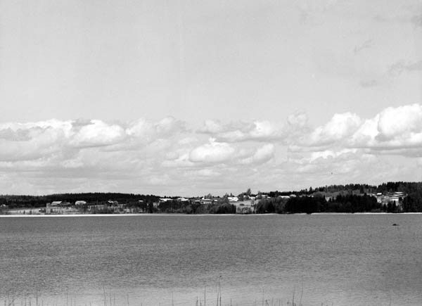 &nbsp;(Arto Hämäläinen&nbsp;1987)
