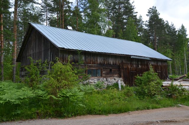 Navetta etelästä.&nbsp;(Katri Nousiainen&nbsp;25.6.2015)