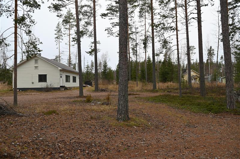 &nbsp;(Teija Ahola&nbsp;2022)