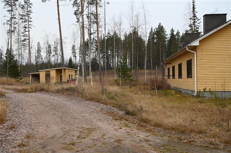 &nbsp;(Teija Ahola&nbsp;2022)