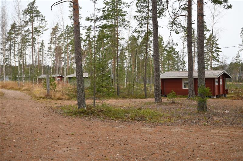 Lomakylän aikaisia rantamökkejä.&nbsp;(Teija Ahola&nbsp;2022)