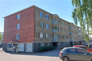Kuva: &nbsp;(Niina Uusi-Seppä&nbsp;2023)