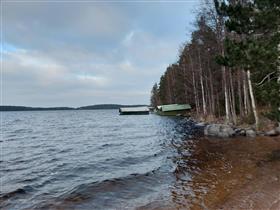 Kuva: &nbsp;(Niina Uusi-Seppä&nbsp;2023)