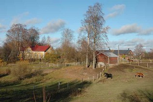 Kuva: &nbsp;(Seppo Pelkonen&nbsp;20.10.2004)