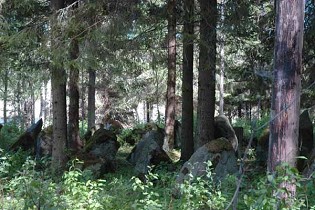 Kuva: &nbsp;(Elina Lyijynen&nbsp;2.6.2005)