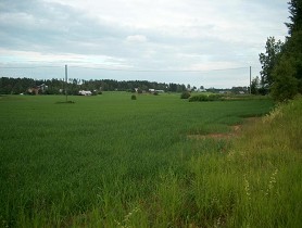 Kuva: Hanhijärven kylämaisemaa.&nbsp;(Pöyry Environmental Oy&nbsp;2007)