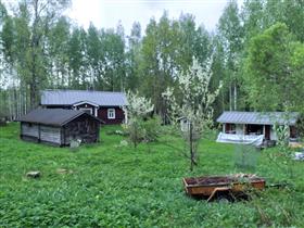 Kuva: Näkymä kohteen pihapiiriin.&nbsp;(Dan Ronimus&nbsp;5/2022)