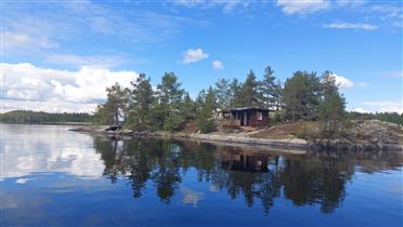 Kuva: Sauna etualalla ja asuinrakennus taustalla mäntyjen siimeksessä.&nbsp;(Dan Ronimus&nbsp;5/2022)