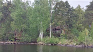 Kuva: Huonoon kuntoon päässeet sauna (vas.) ja asuinrakennus (oik.) sijaitsevat metsittyneellä tontilla kuitenkin lähes kiinni järvessä.&nbsp;(Dan Ronimus&nbsp;5/2022)