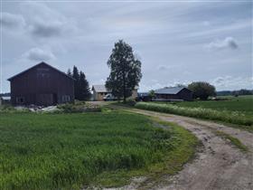 Kuva: &nbsp;(Dan Ronimus&nbsp;6/2022)