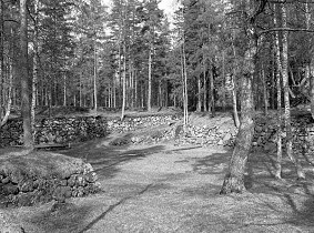 Kuva: &nbsp;(Arto Hämäläinen&nbsp;1986)