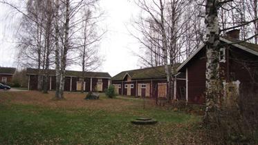 Kuva: Pihapiiriä.&nbsp;(Niina Ahlfors&nbsp;lokakuu 2012)