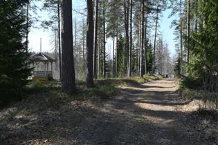 Kuva: Huvimaja upseerintalolta rantaan johtavan tien varrella.&nbsp;(Teija Ahola&nbsp;2023)