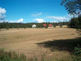 Kuva: &nbsp;(Pöyry Environment/Matti Veijovuori&nbsp;2007)