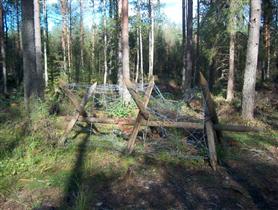 Kuva: &nbsp;(Pöyry Environment/Matti Veijovuori&nbsp;2007)
