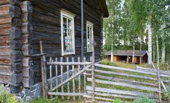 Kuva: &nbsp;(Teija Ahola / Selvitystyö Ahola&nbsp;2013)