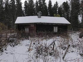 Kuva: &nbsp;(Lauri Putkonen&nbsp;1.11.2012)