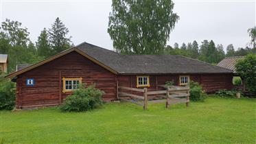 Kuva: &nbsp;9.6.2020)
